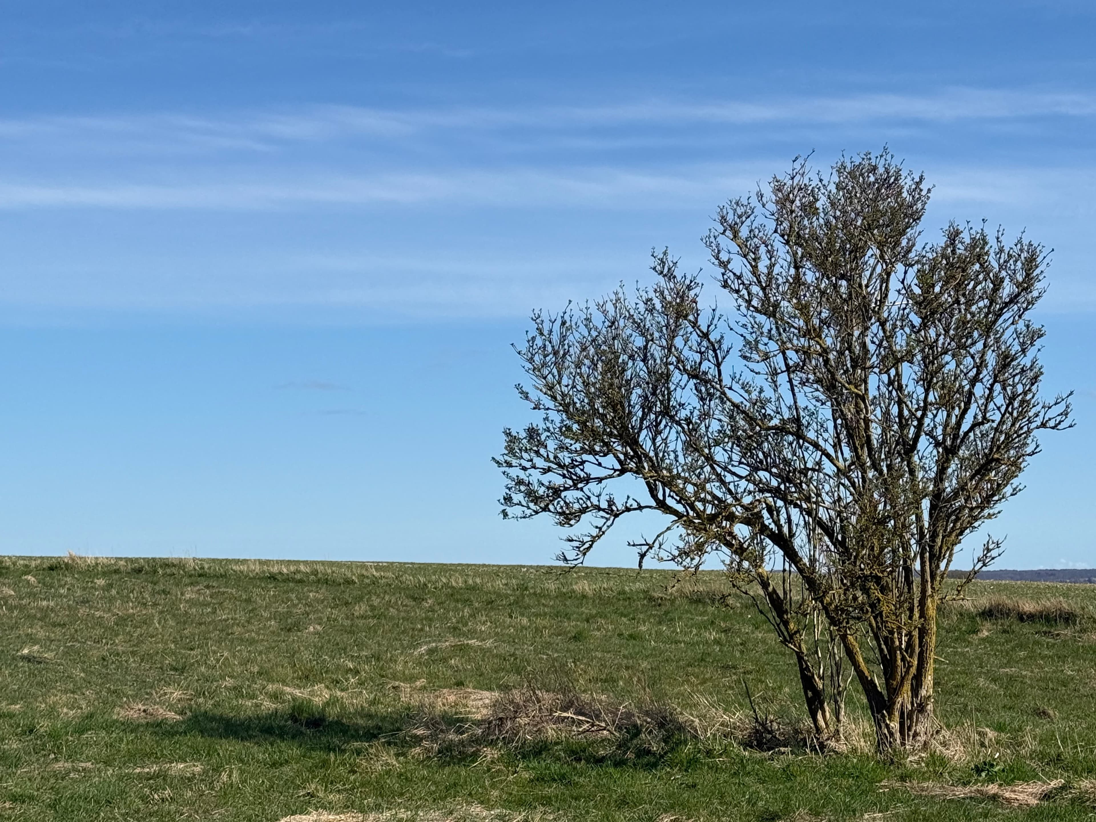 Jean-Charles & JCL Coaching